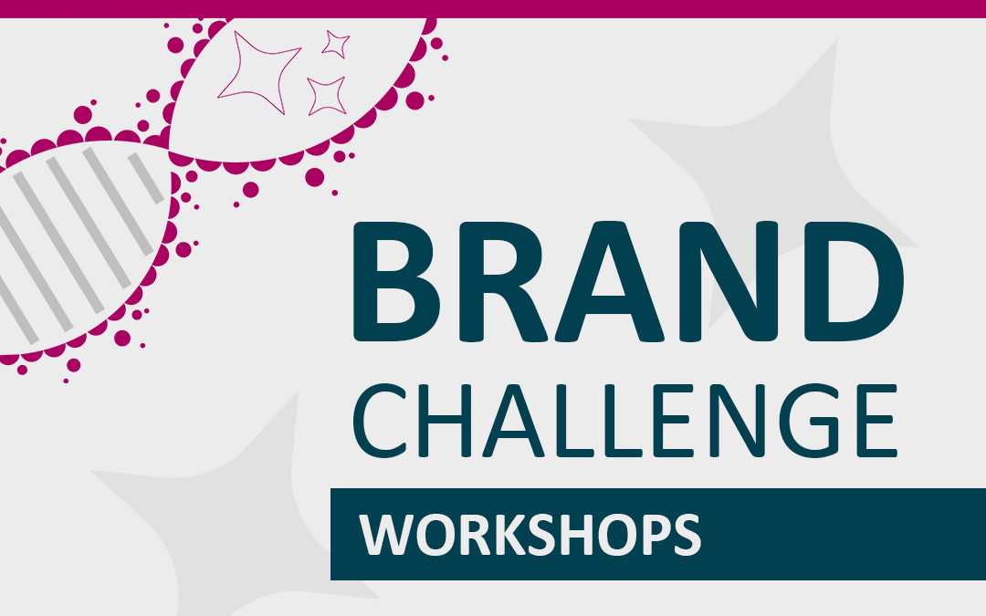 BRAND CHALLENGE WORKSHOPS